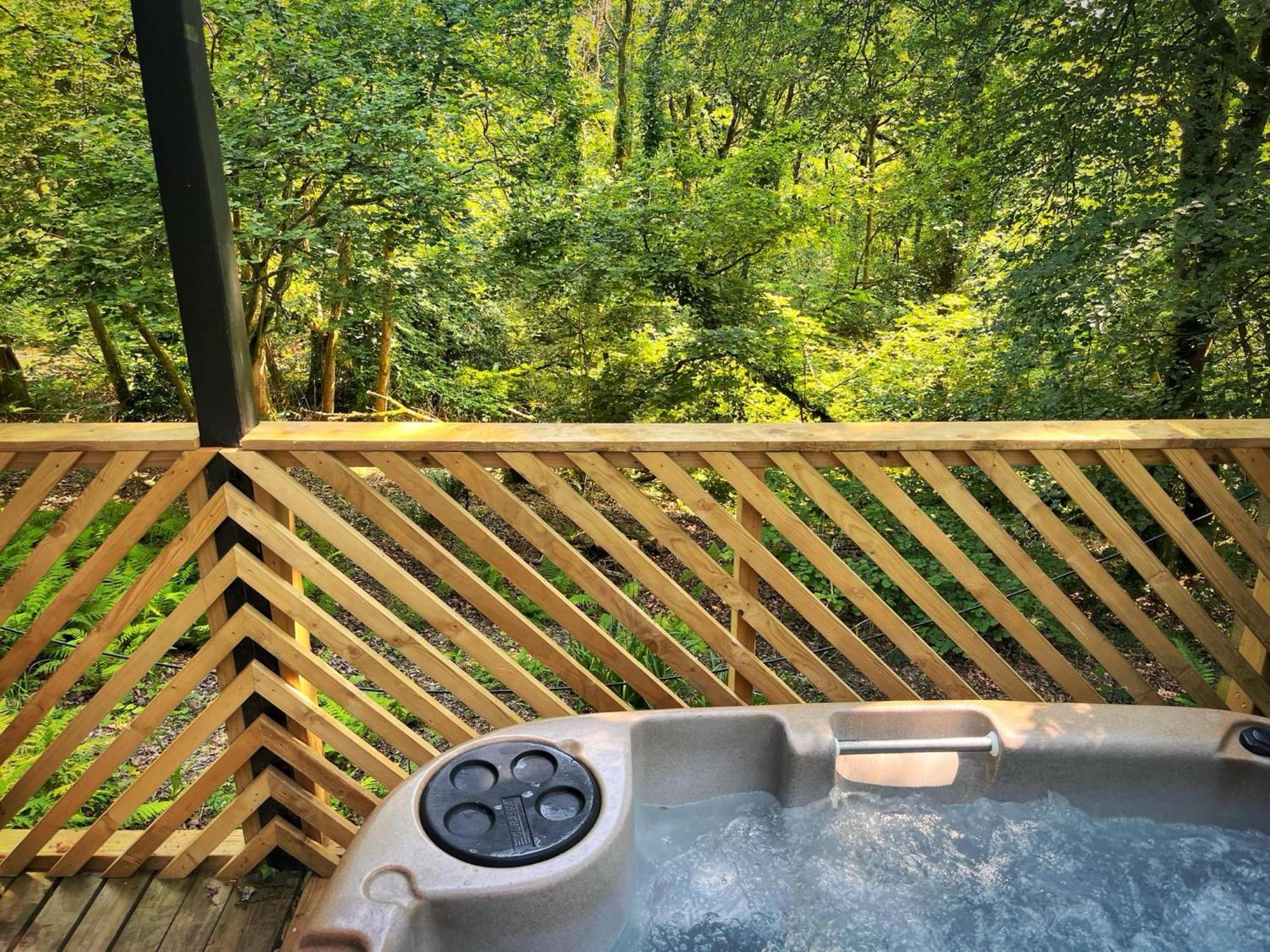 Goldcrest 3-Hot Tub-Woodland Lodges-Carmarthenshire-Tenby Buitenkant foto