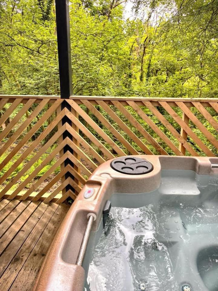 Goldcrest 3-Hot Tub-Woodland Lodges-Carmarthenshire-Tenby Buitenkant foto